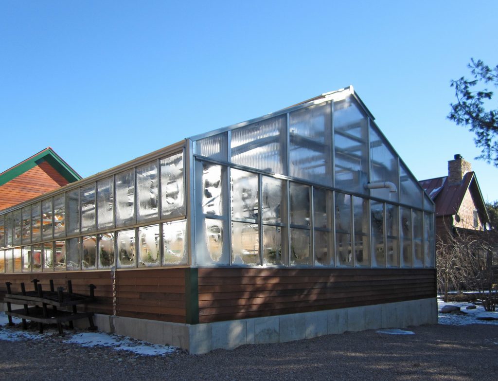 shady greenhouse