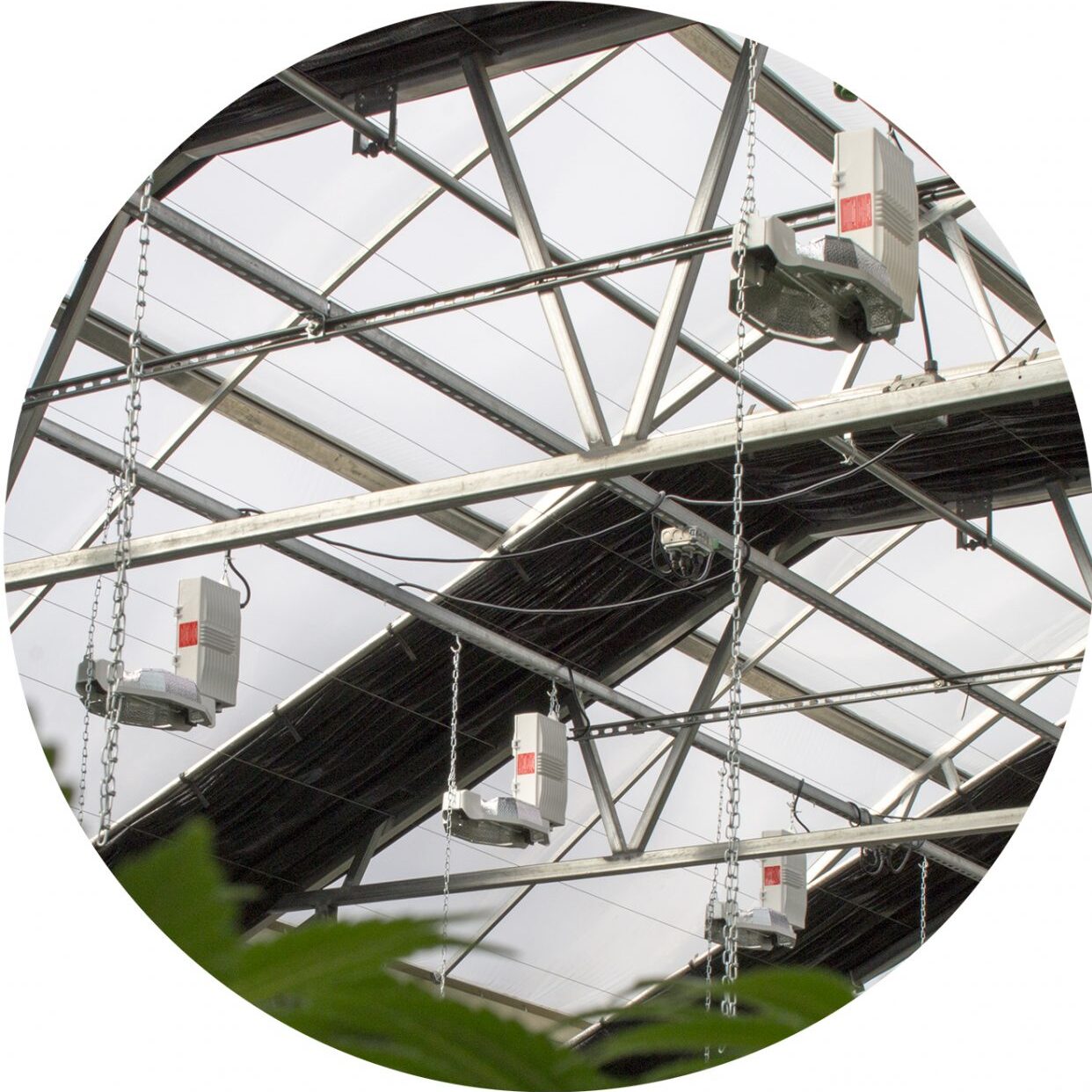 Light-dep-circle-website Light Depravation Curtain