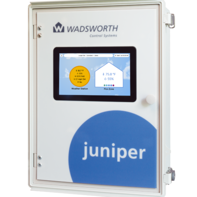 Juniper